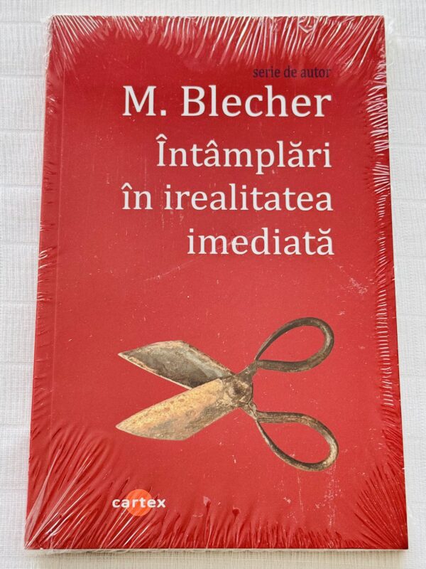 Intamplari in irealitatea imediata